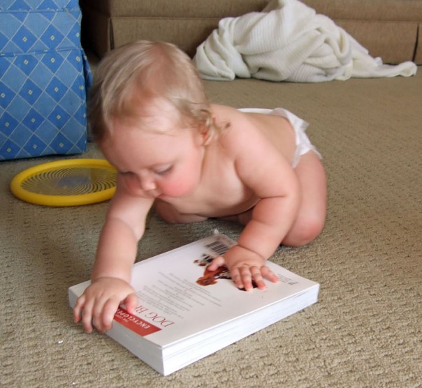 Everyone should read a book on vacation, right?