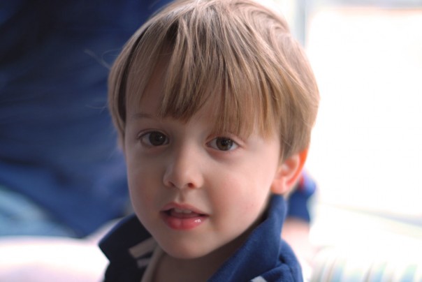 Will (Gracie's big brother)