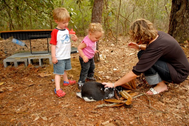 Jadon and Emma Kate get to pet Jadon's new bunny, Hershey