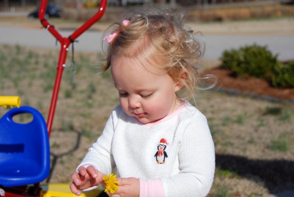 Picking a flower for daddy