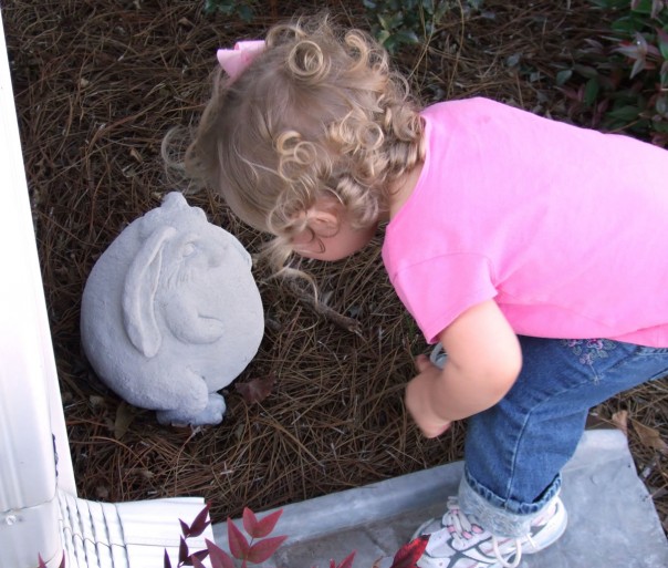 looking closely at the buddha bunny