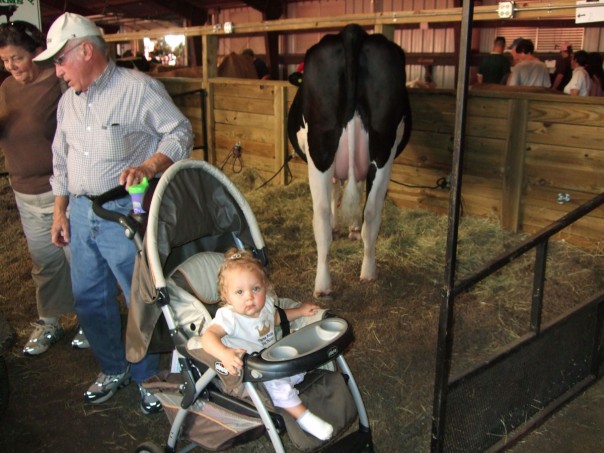 Enjoying time with Grandma, Grandpa, and a cow at the South Carolina State Fair