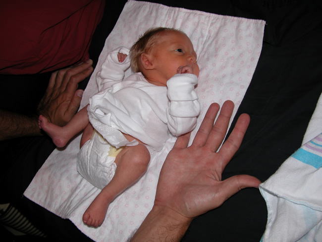 not much bigger than a hand