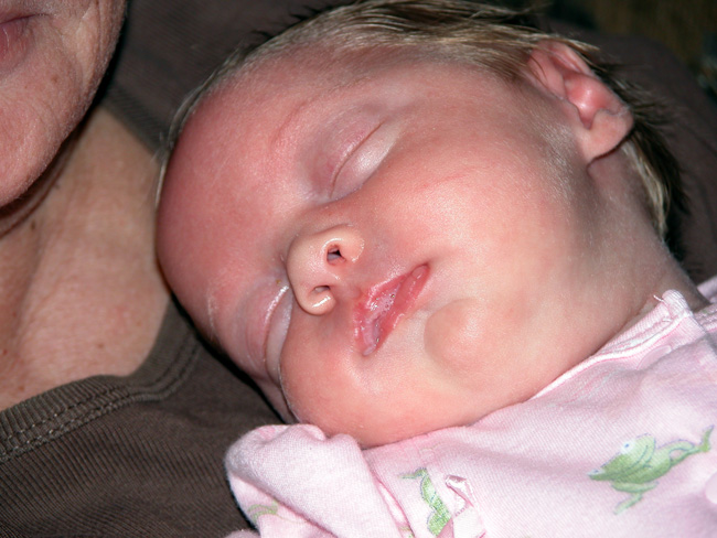 asleep on grandma